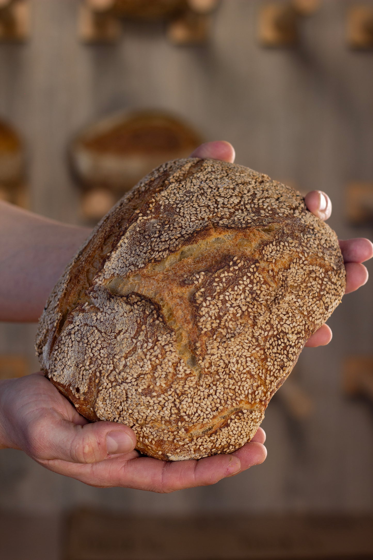 Pane di Grano Duro Siciliano