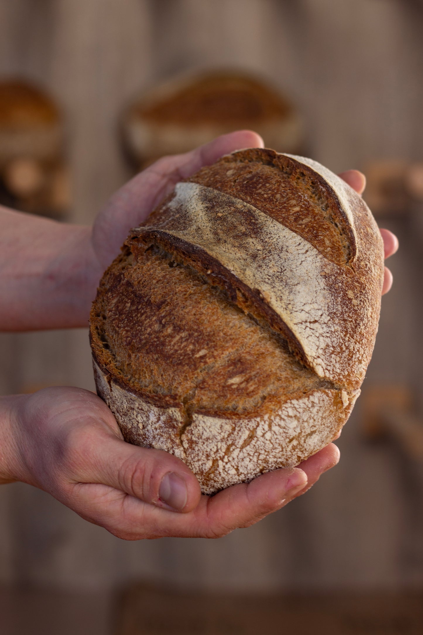 Tumminia Integrale BIO